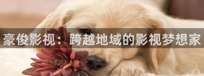 汤姆影院最近网址